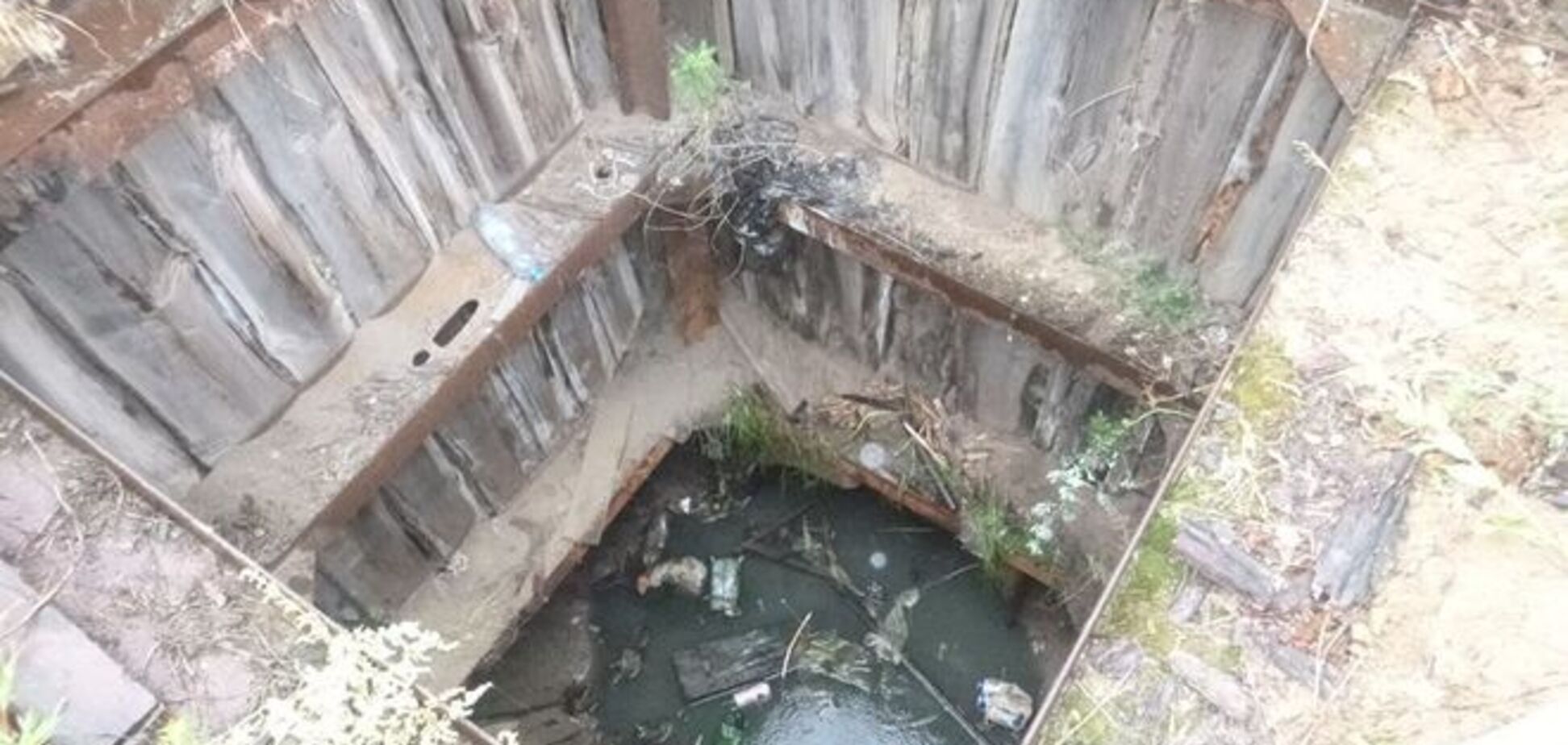 В Киеве догхантеры бросили собаку в колодец – волонтеры