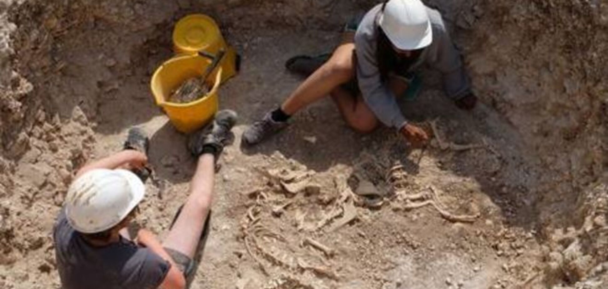В Англии археологи раскопали останки 'мифических животных': опубликованы фото