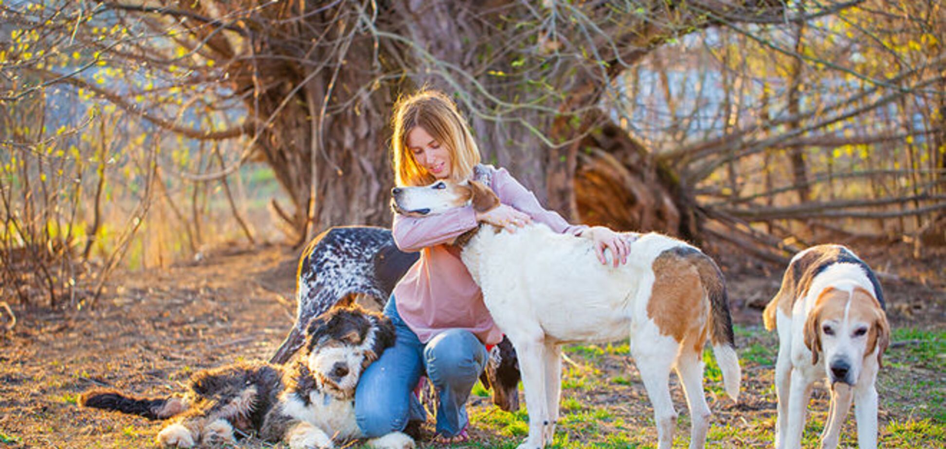 10 собак, которые продолжают жить, несмотря ни на что