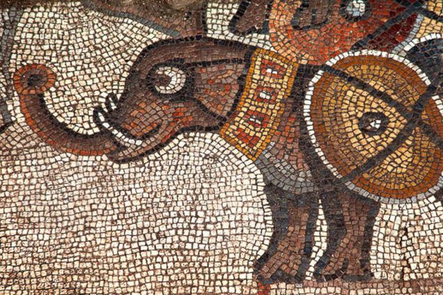 В Израиле нашли уникальную мозаику со странными слонами: опубликованы фото