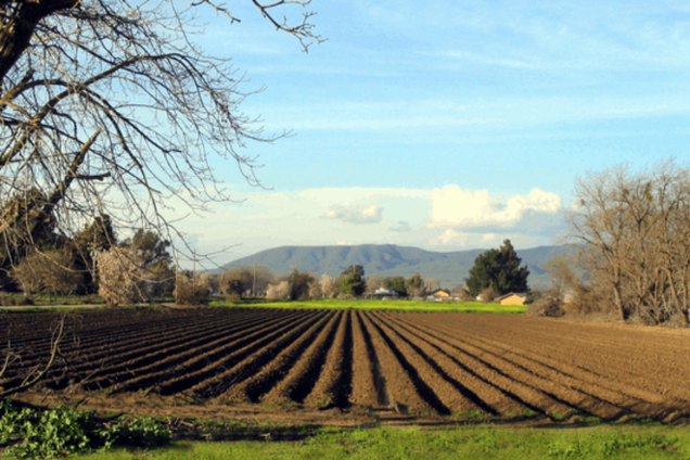 Експерт: Путін стоячи аплодує українським аграрним лобістам