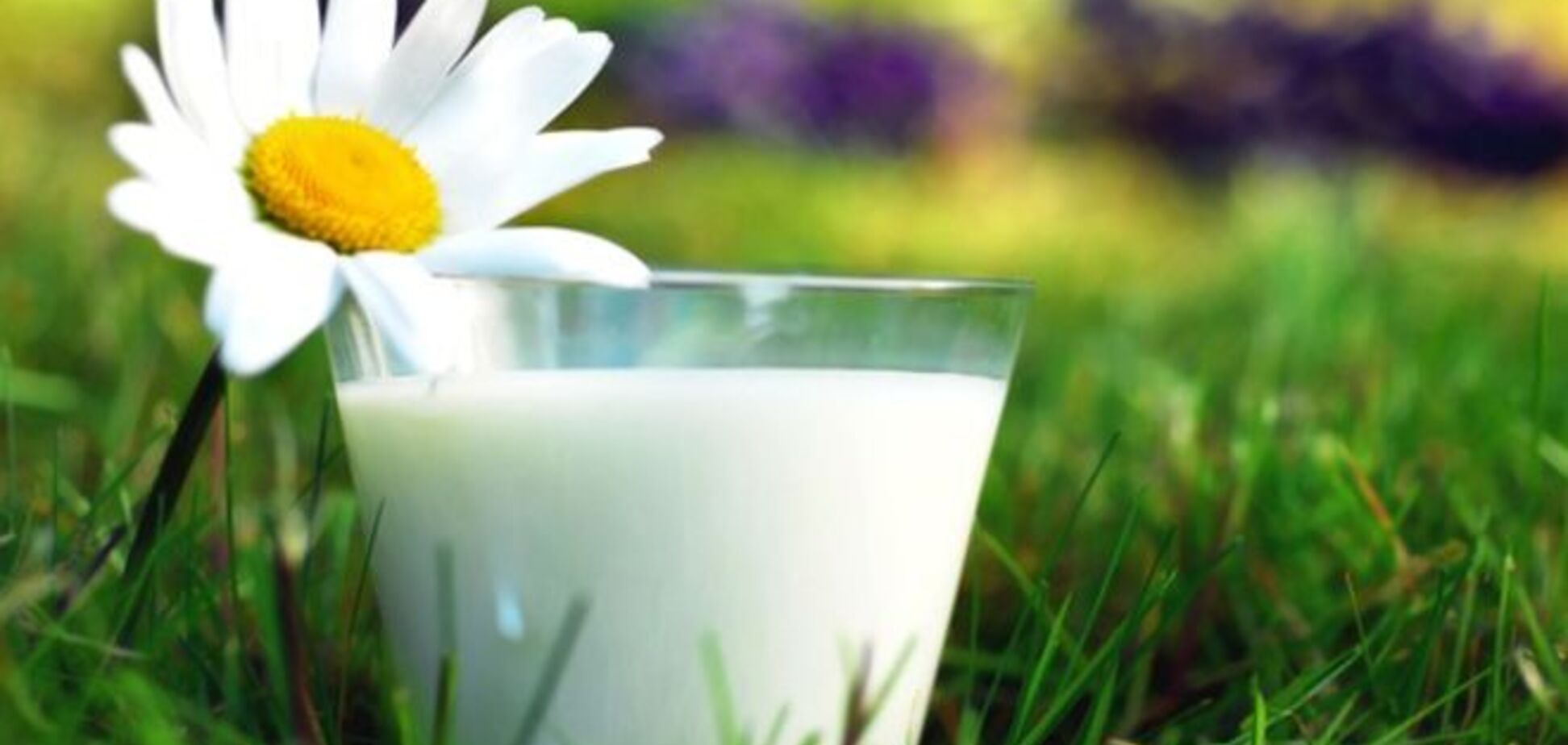 В Україні найдорожче молоко у світі. Але стане ще дорожче