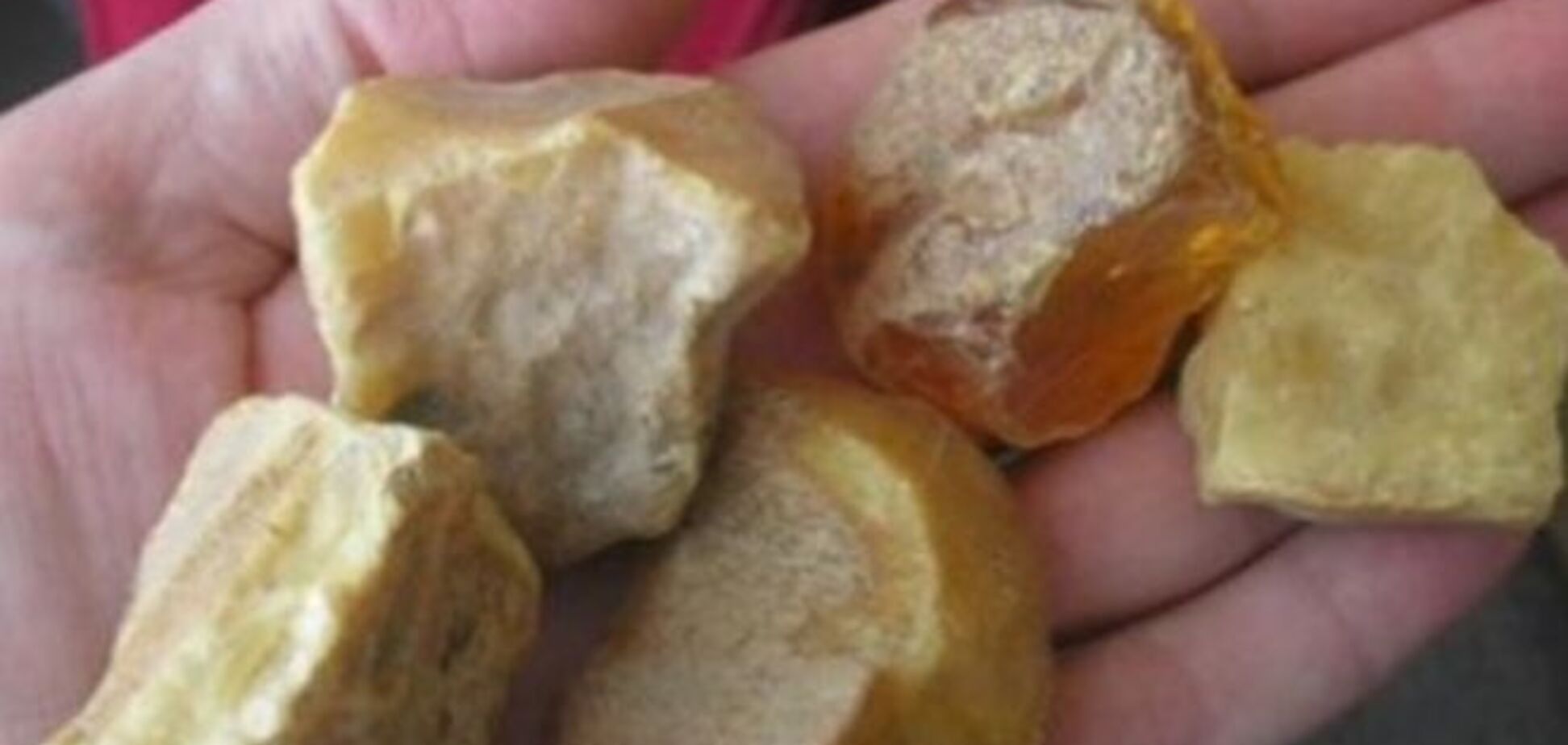 На Закарпатье задержали контрабандистов с янтарем более чем на 5 млн грн