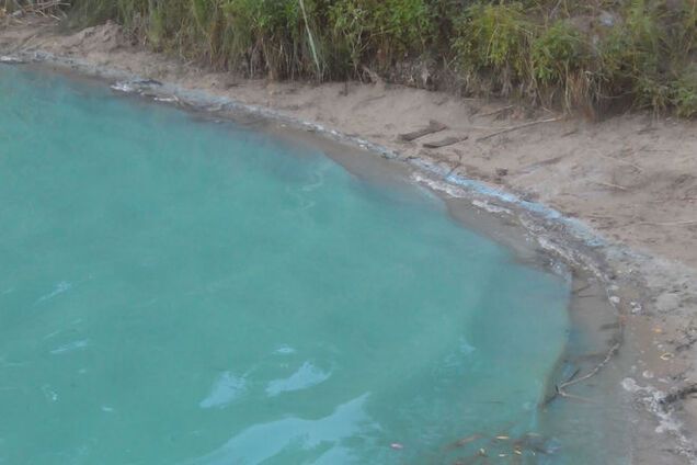 В Киеве 'отравили' еще одно озеро: фотофакт