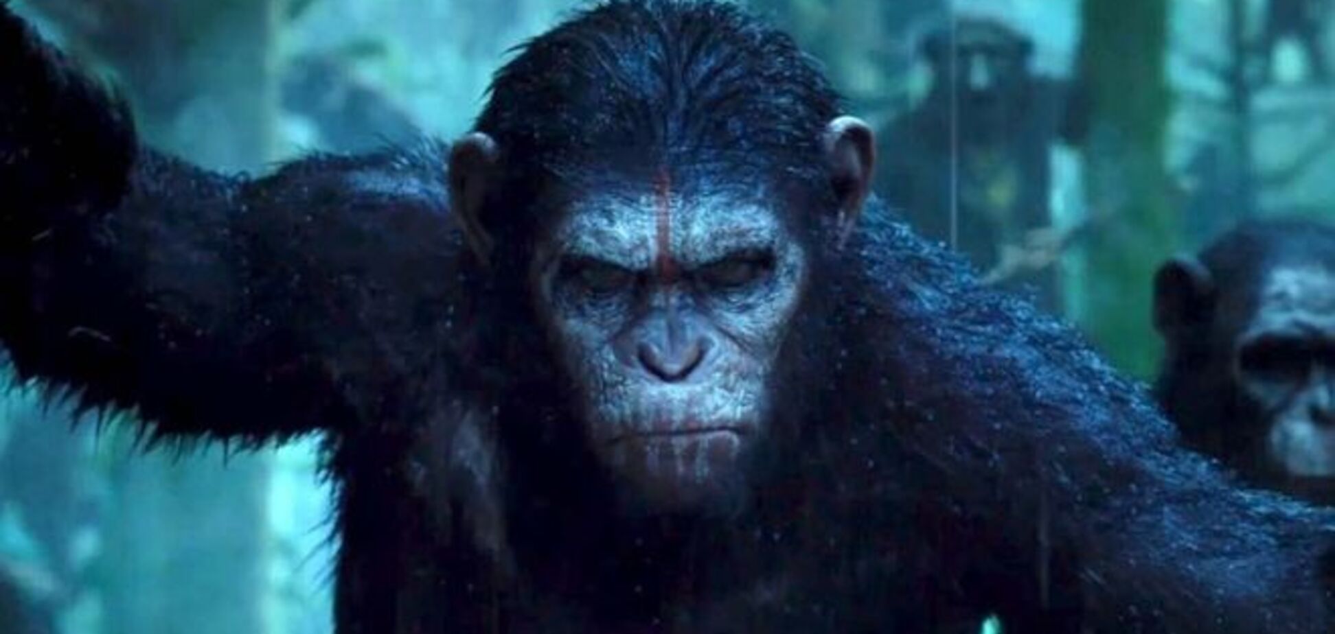 Планета обезьян: ученые признали, что шимпанзе превосходят людей