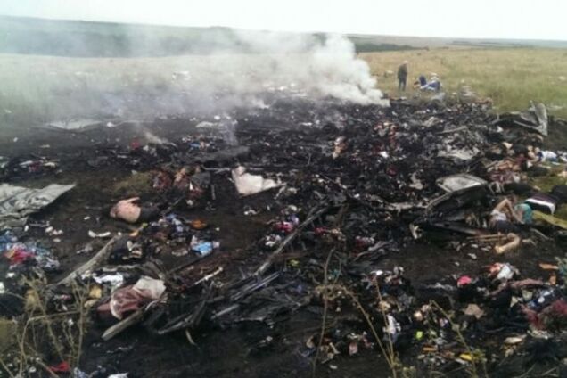 Семьи пассажиров сбитого Boeing хотят отсудить у Гиркина $900 млн компенсации