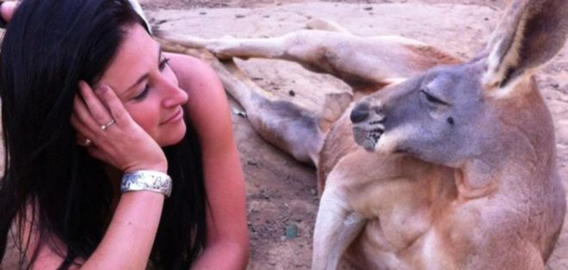 Дикий мир: 24 забавных фото животных в Австралии