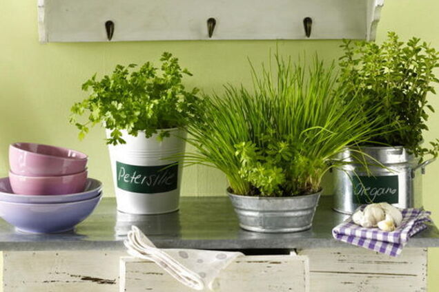 Домашний огород круглый год: 15 идей для зеленого декора кухни
