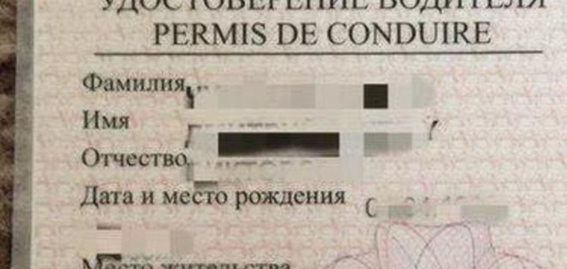 В 'ДНР' начали выдавать 'водительские удостоверения': фотофакт
