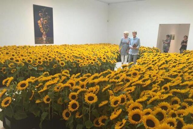 Море подсолнухов. В сети показали живой мемориал жертвам MH17: фотофакт