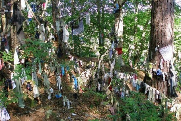 Загадочные тканевые деревья желаний кельтов в Великобритании