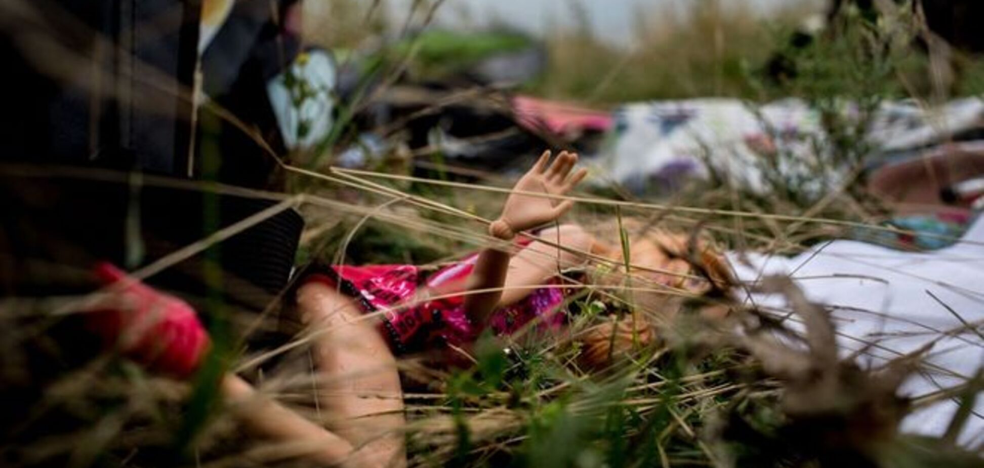'Страшна смерть на красивій землі'. Фотограф розповіла про зйомки на місці загибелі MH17