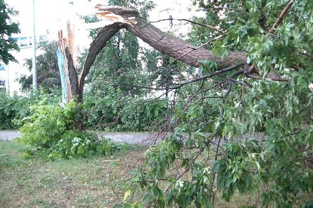 На Волинь обрушився найсильніший ураган: є постраждалі