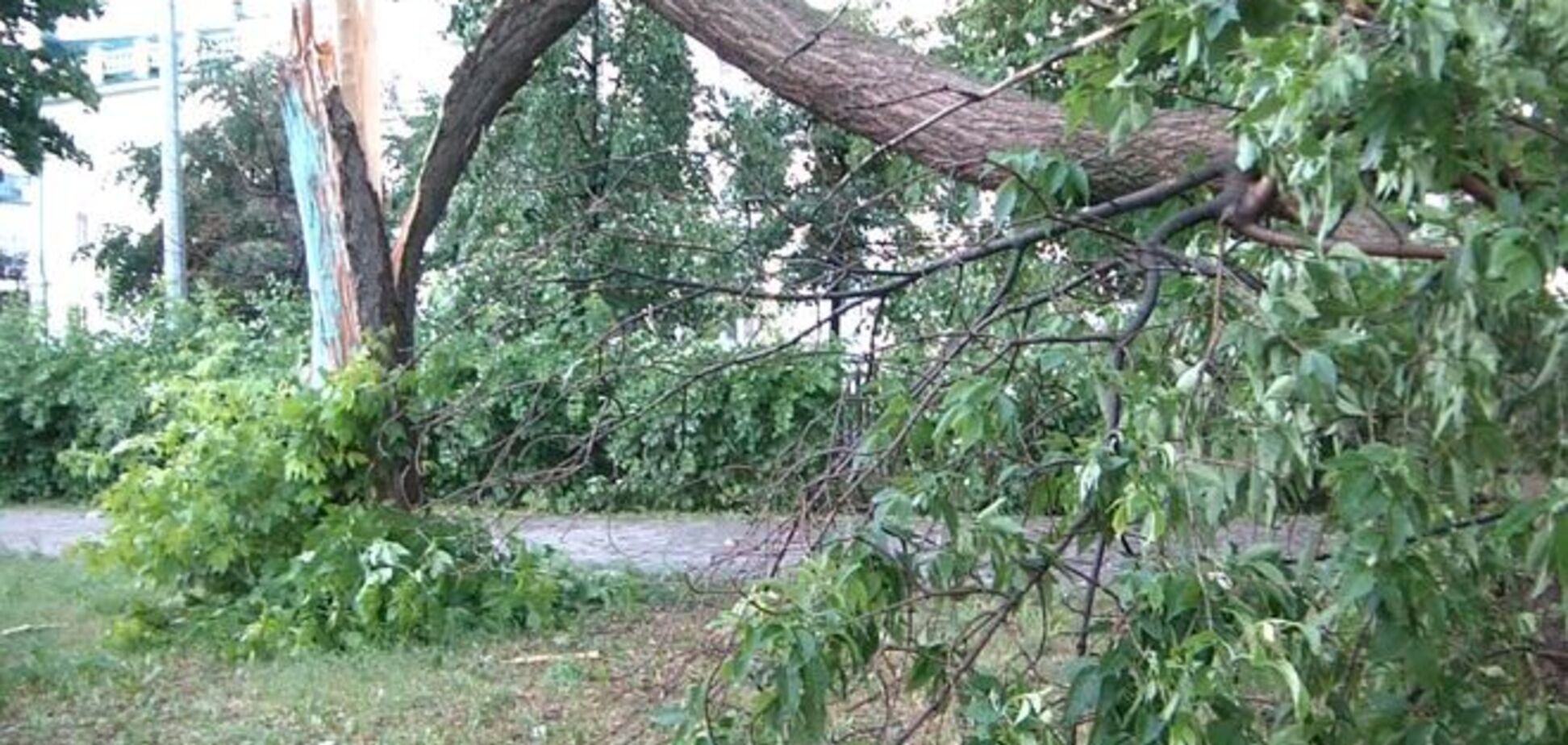 На Волынь обрушился сильнейший ураган: есть пострадавшие