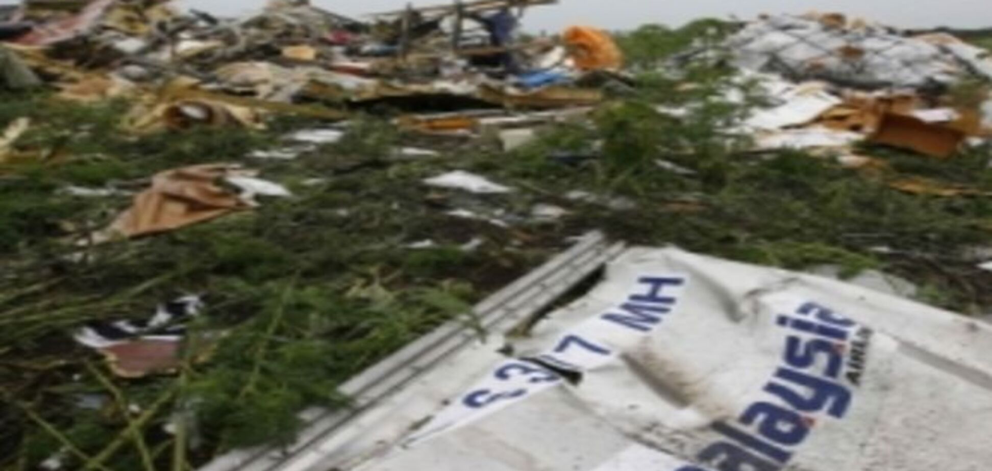 Нидерланды послали России результаты расследования причин крушения Boeing