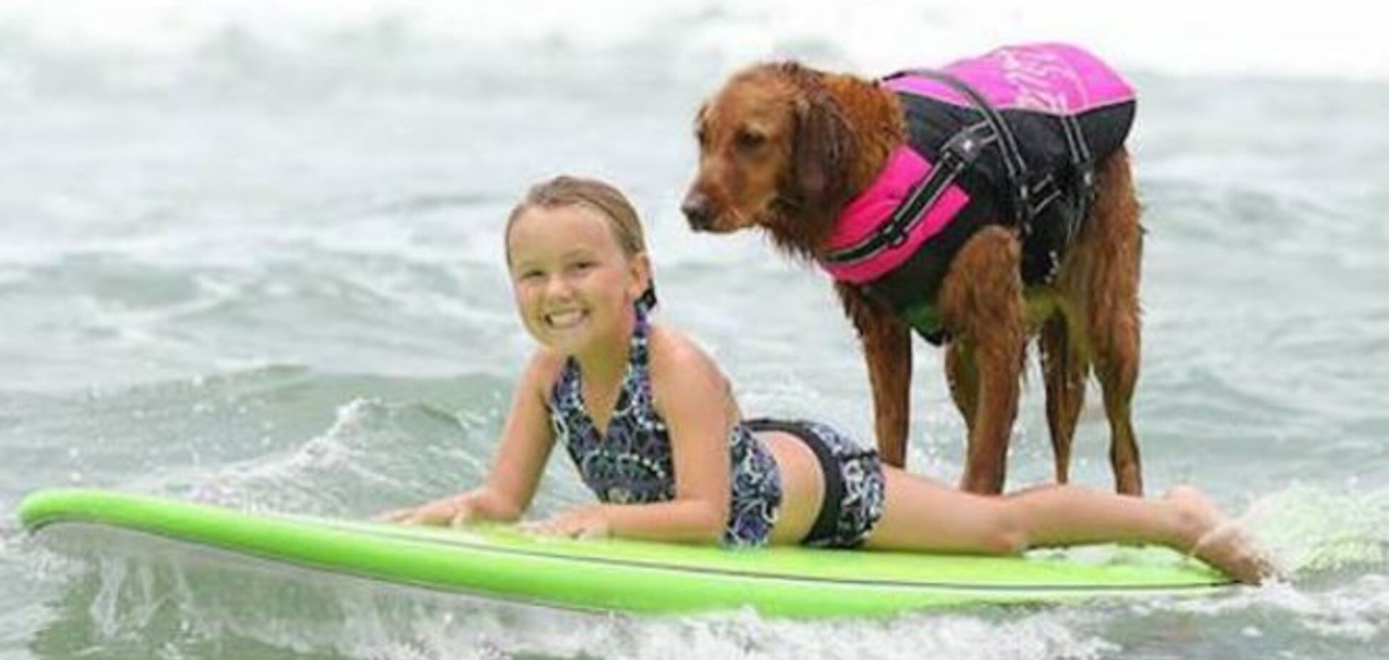 Лови волну: пес-серфингист, который помогает детям-инвалидам