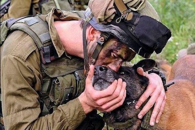 Животные в зоне АТО: проникновенный фоторепортаж
