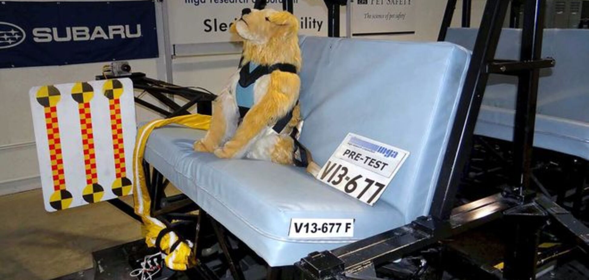 Собака на заднем сидении автомобиля может убить владельца