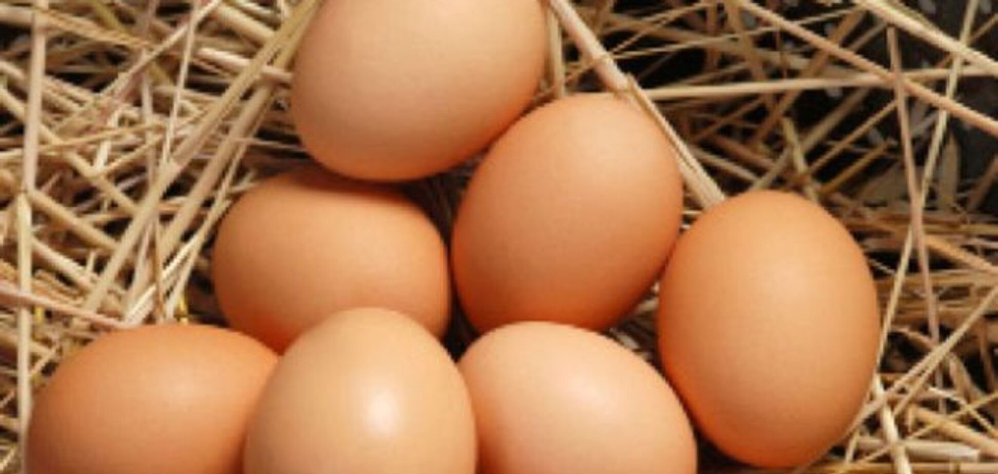 Чем опасны куриные яйца и как уберечься от сальмонеллёза 