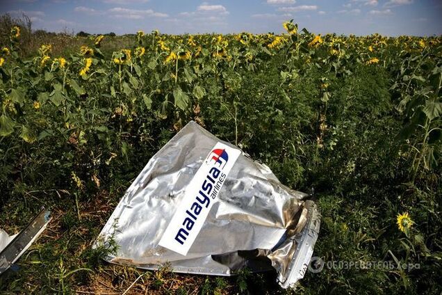 Названа дата презентации отчета о катастрофе 'Боинга' на Донбассе