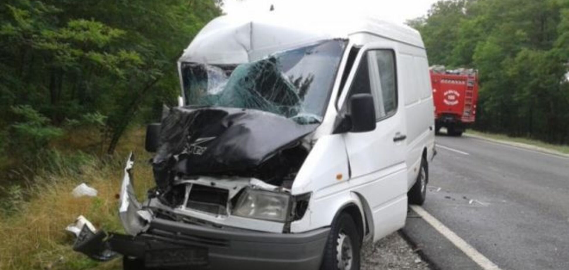 В Венгрии автобус с украинцами попал в страшное ДТП: видеофакт