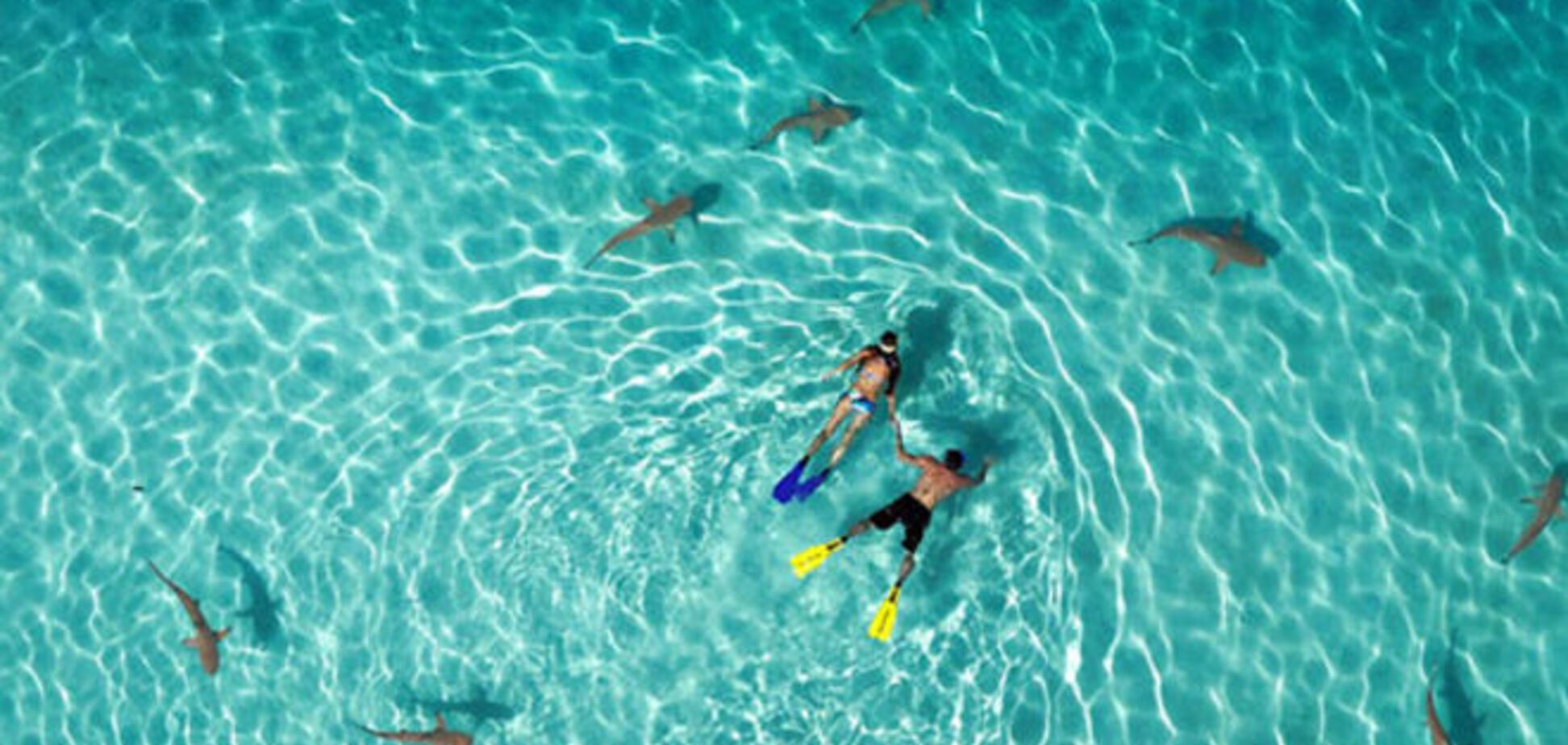 Мир с высоты птичьего полета: лучшие фото, сделанные дронами