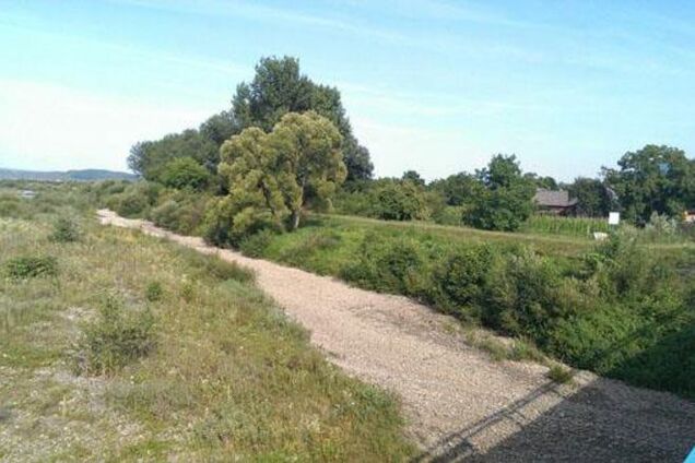 Из-за адской жары на Закарпатье пересохла река: фотофакт