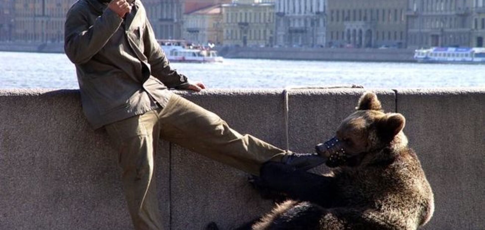 Медведи ходят по улицам: в Хабаровском крае России ввели ЧП