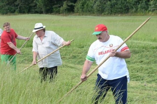 Чем бы дитя не тешилось. Лукашенко устроил Депардье урок ручной косьбы