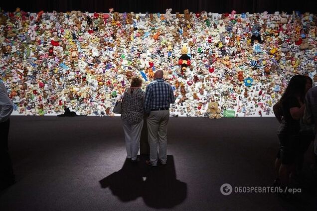 Все указывает на то, что 'Боинг' сбила Россия – адвокат по делу МН17