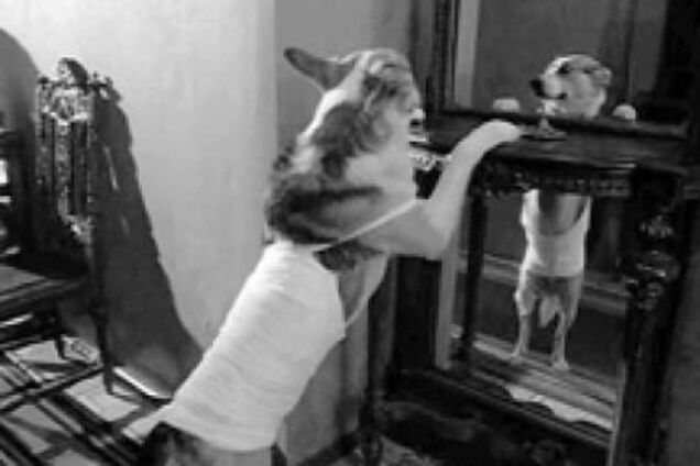 На Южном Урале запретили детям читать Булгакова