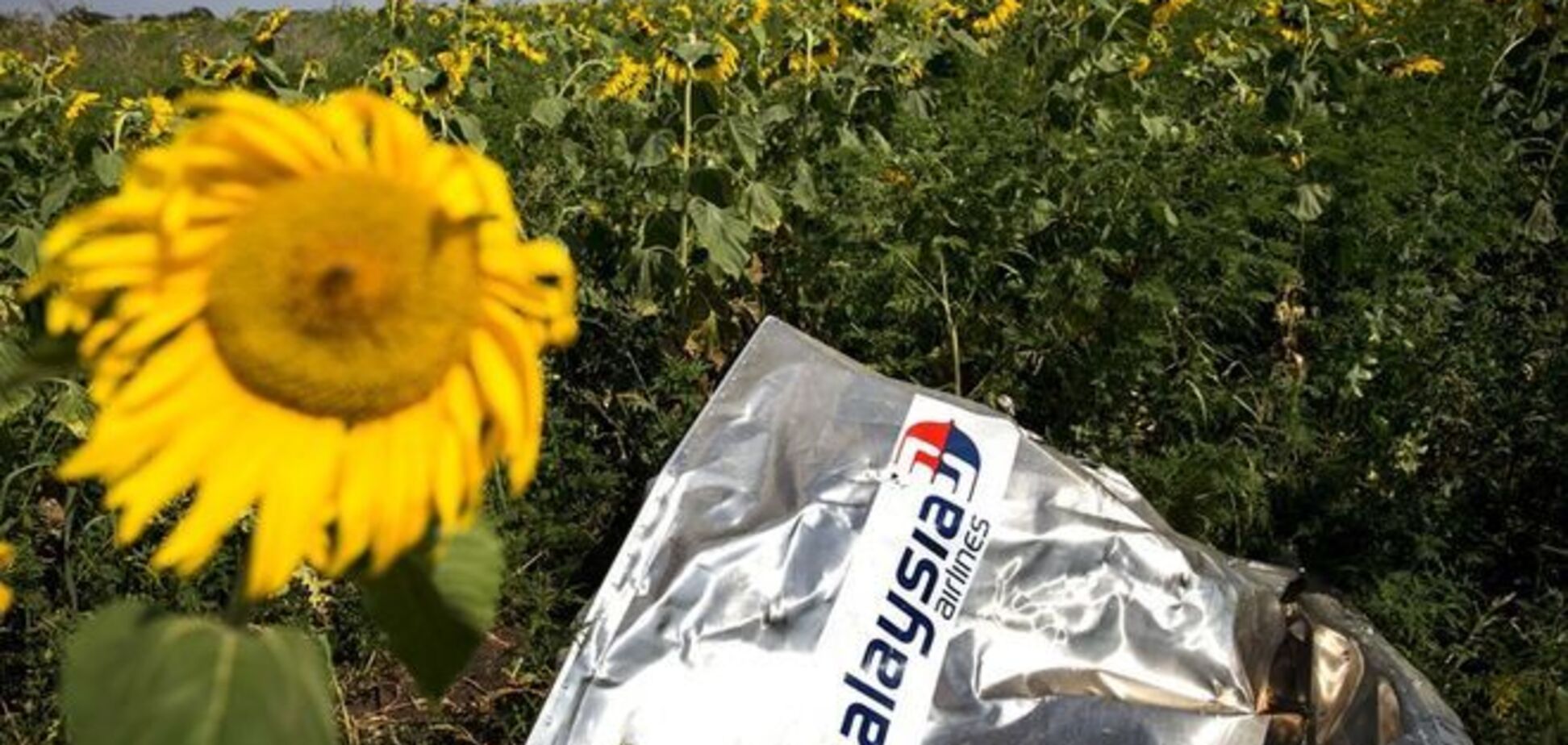 Дурная работа: Огрызко объяснил смену риторики Чуркина по делу Boeing-777