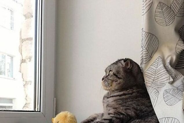 Погода экстремально переменится: украинцам посоветовали забыть о жарком лете на 30 лет