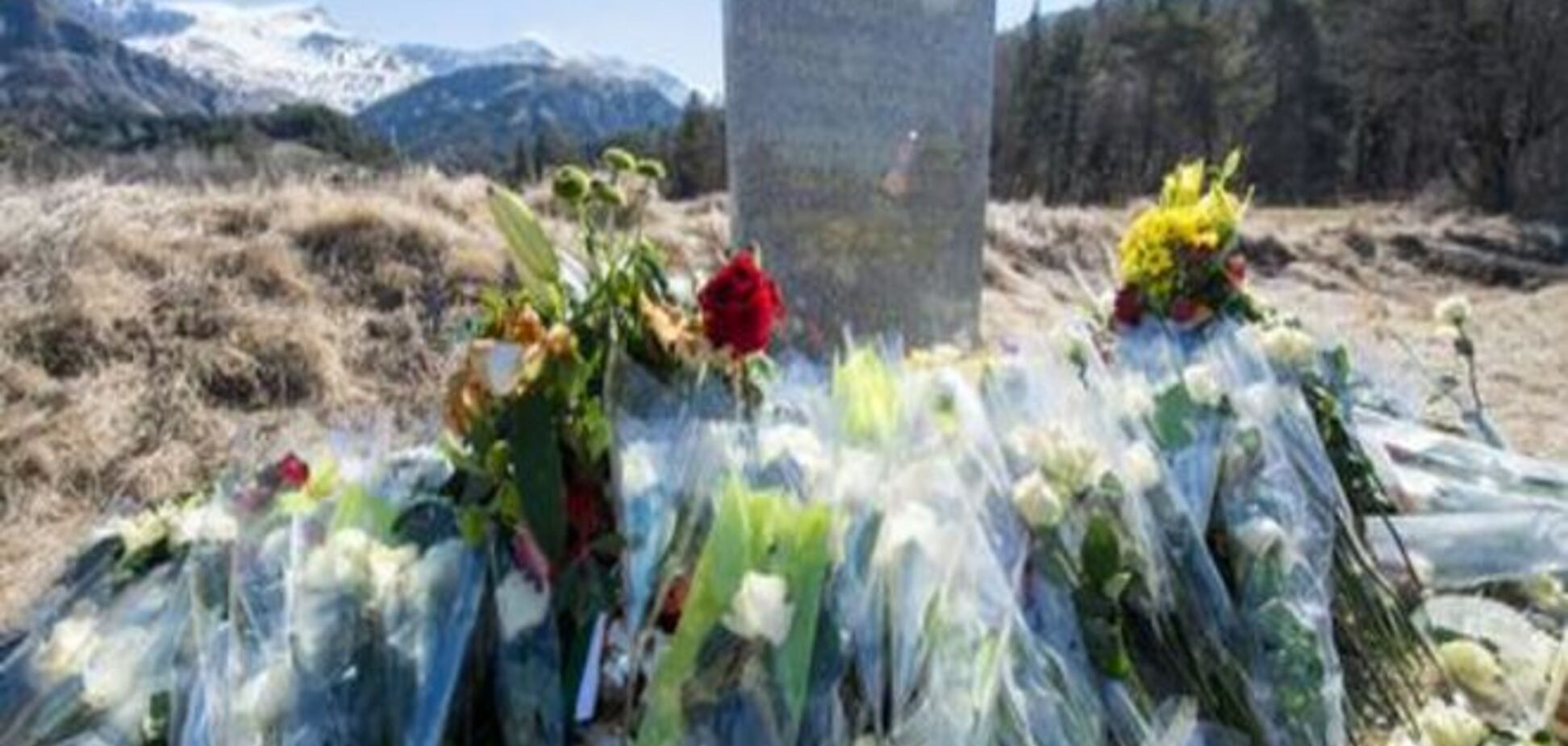 Родственники жертв лайнера Germanwings: Нужны компенсации и извинения