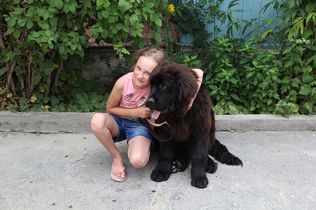 Путин подарил школьнице из Киргизии собаку: опубликованы фото