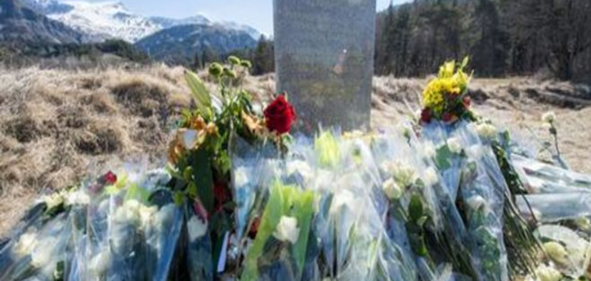 Родичі жертв лайнера Germanwings: Потрібні компенсації й вибачення