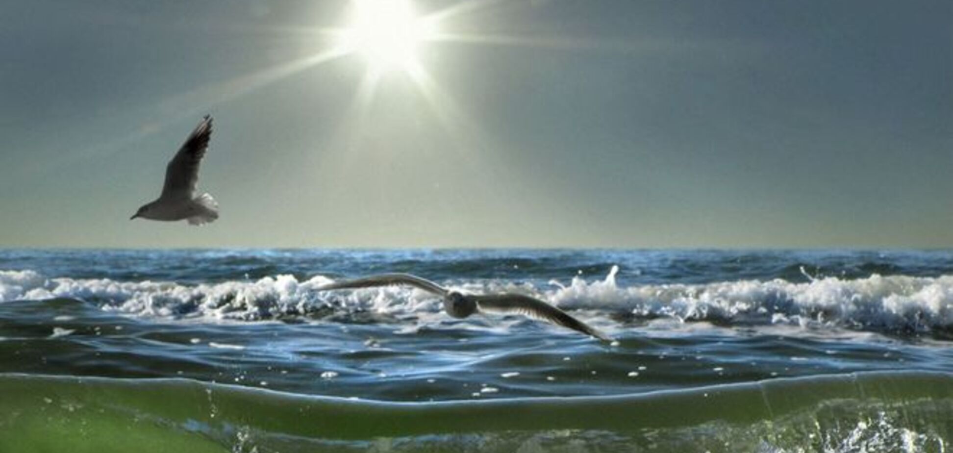 Від Одеси до Закарпаття. Відпочинок в Україні: огляд цін на серпень