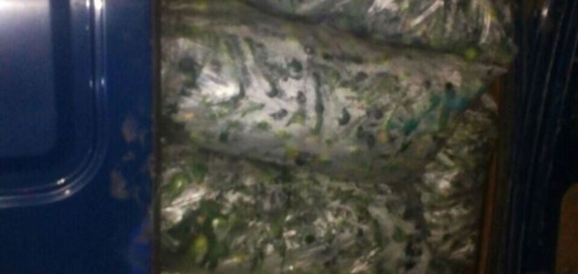 Прикордонники не пустили до терористів десять тонн овочів