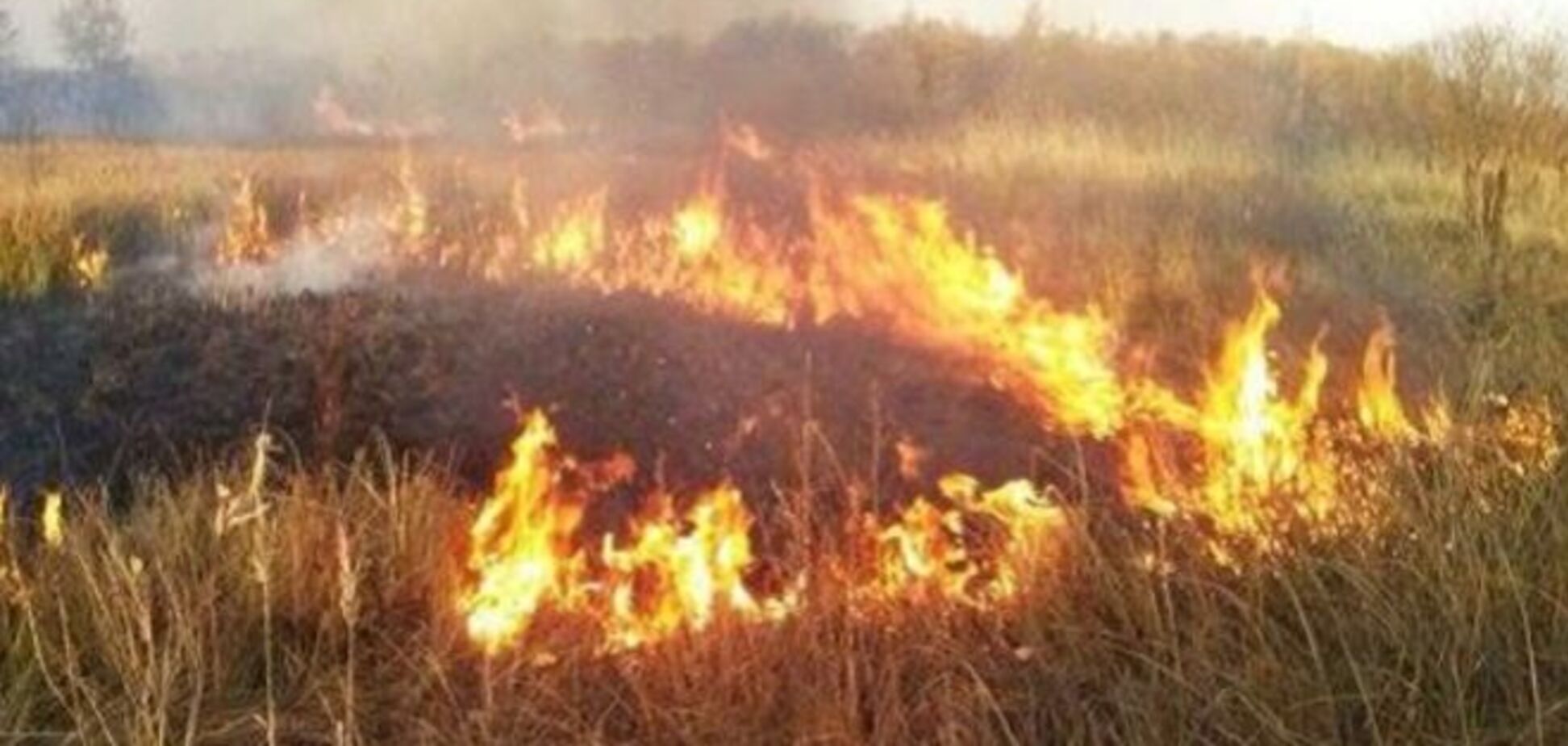 В Украине объявлена чрезвычайная пожарная опасность