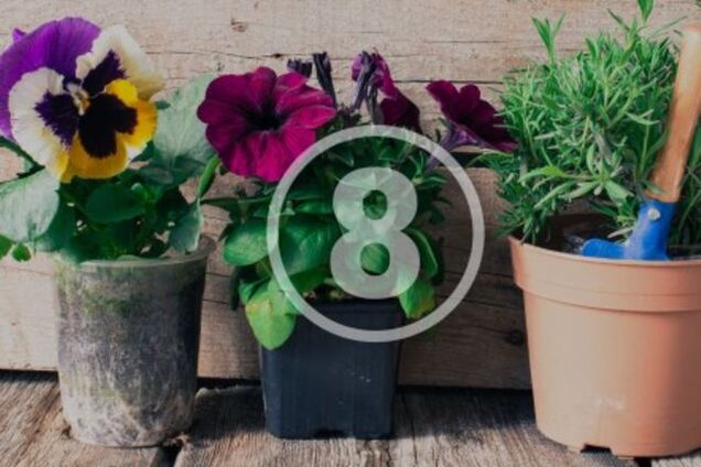 8 вещей, которым можно подарить вторую жизнь на даче