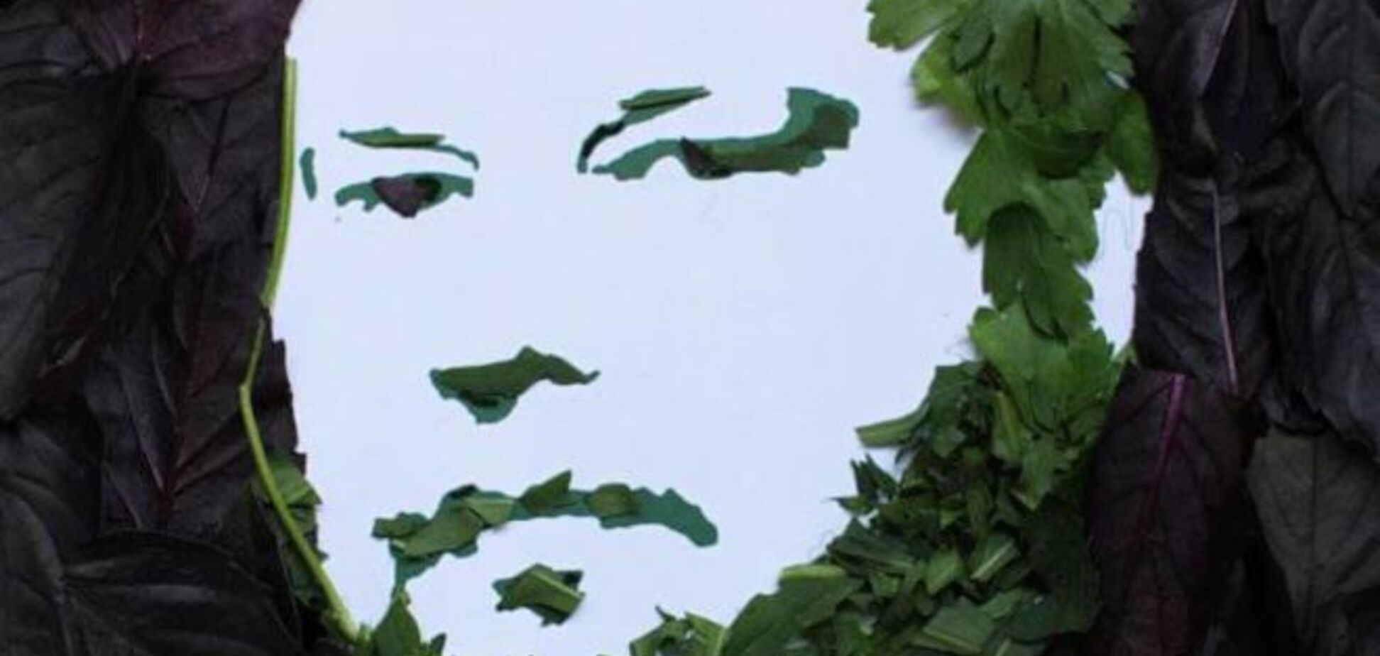 Киевлянка взорвала соцсеть портретами, сделанными из зелени