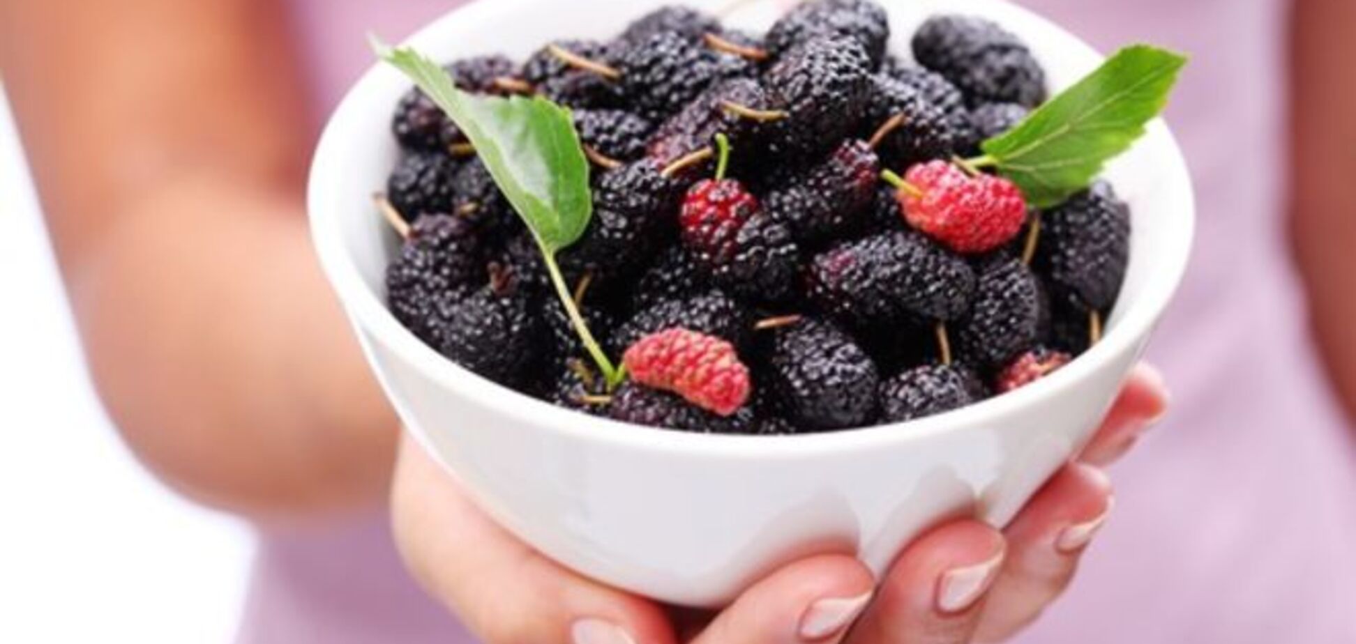 Шелковичная диета: как за 2 дня сбросить 3 кг