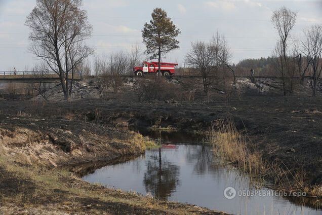 Глава ГосЧС: 70% пожаров в чернобыльской зоне вызваны поджогами