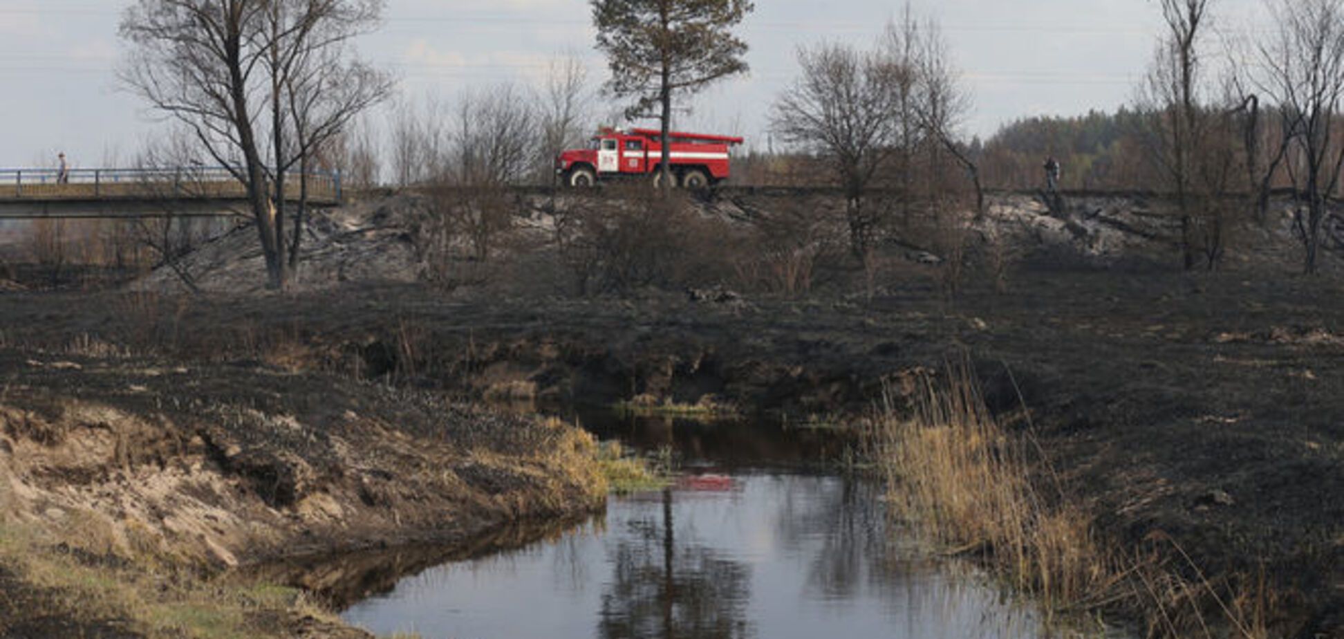 Глава ГосЧС: 70% пожаров в чернобыльской зоне вызваны поджогами