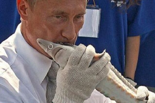 У Росії придумали спосіб знищувати санкційні продукти