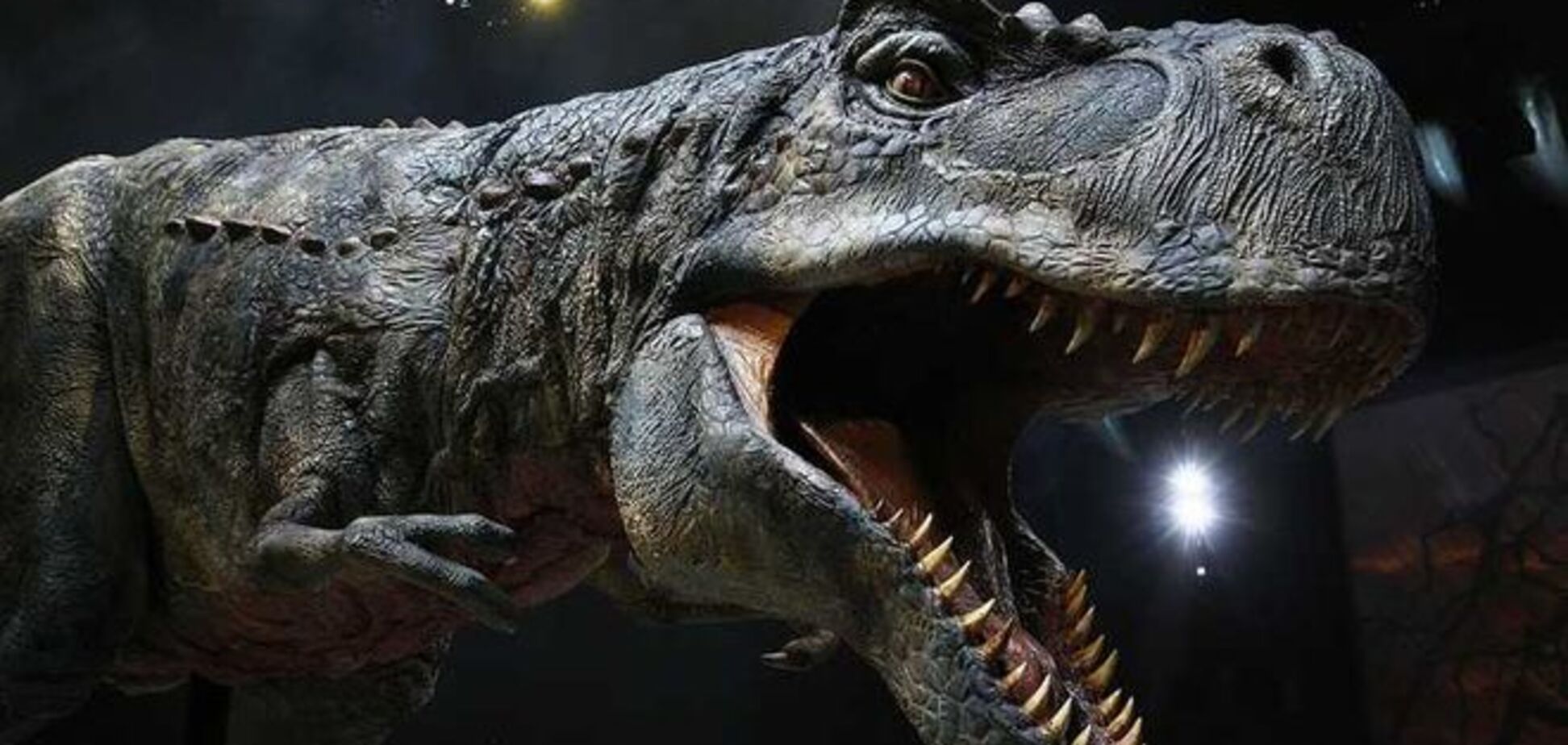 Ученые раскрыли секрет уникальности зубов тиранозавра