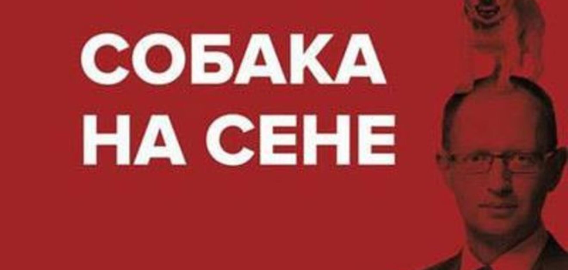 'Собака на Сене' взорвала Facebook: фотофакт