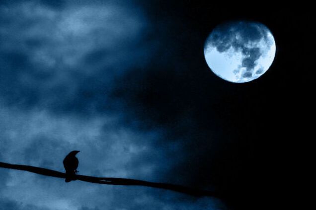 В пятницу над Землей взойдет редкая 'голубая' Луна