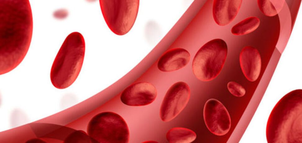 11 способов очищения кровеносных сосудов в домашних условиях