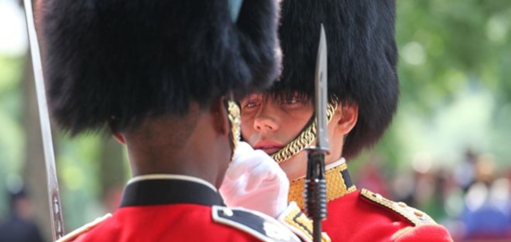 В Британии гвардеец круто прогнал наглого туриста: видеофакт